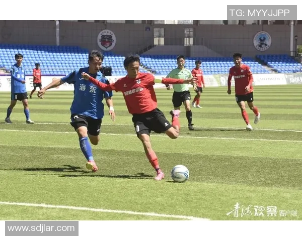 引致足球的魅力与挑战探索球场内外的激情与团队精神